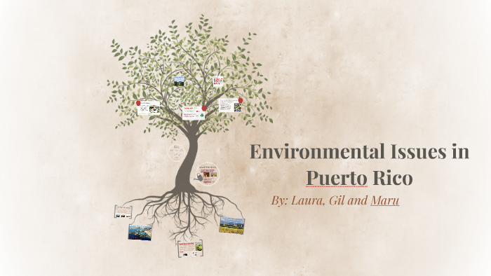 environmental-issues-in-puerto-rico-by-maru-garcia