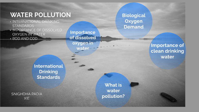 Water Pollution (BOD) by ruchi padia on Prezi