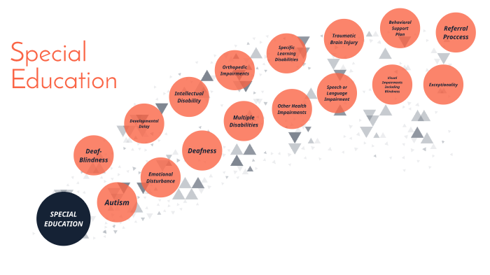 Special Education by Megan Woodard on Prezi