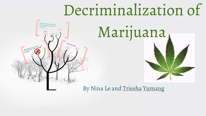 research paper on decriminalization of marijuana