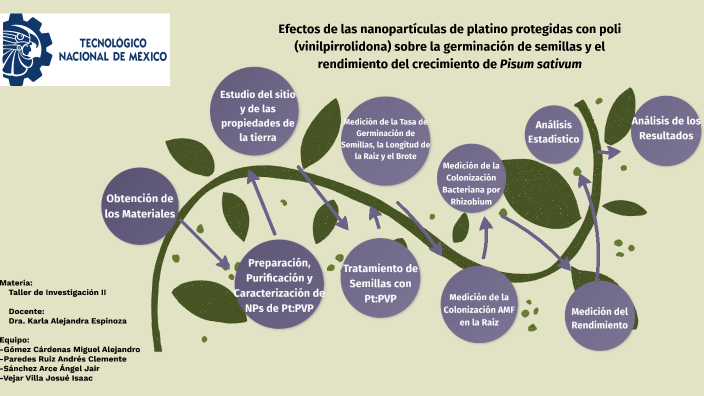 diagram de flujo by Miguel Alejandro gomez cardenas on Prezi