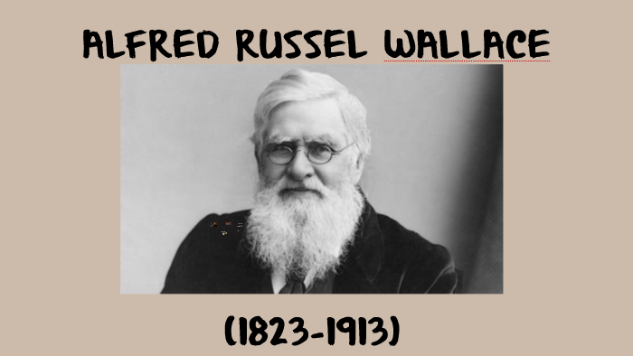 ALFRED RUSSEL WALLACE (1823-1913) by Alejandro Falero