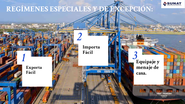 REGÍMENES ESPECIALES Y DE EXCEPCIÓN by Carolina Martínez on Prezi