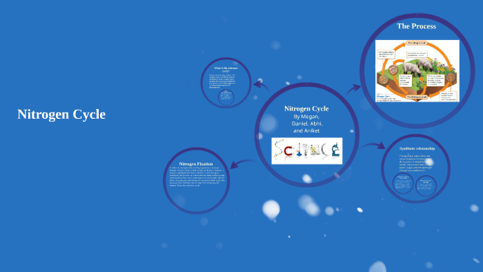 Nitrogen Cycle by Aniket Dey on Prezi