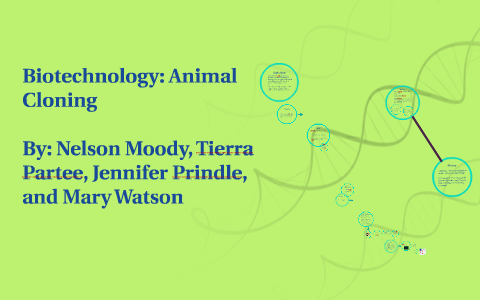 Biotechnology: Animal Cloning by Jennifer Garibaldi on Prezi