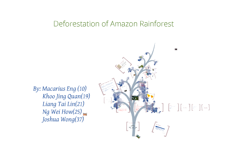 THIS IS THE PREZI FOR DEFORESTATION OF AMAZON RAINFOREST TOPIC by bob ...