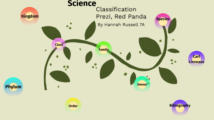 Classification Prezi, Hannah Russell by Hannah Russell on Prezi