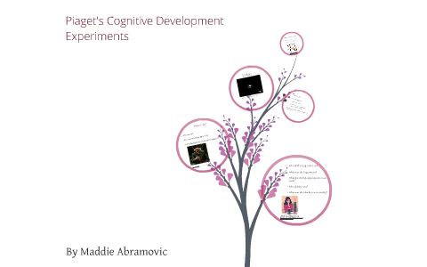 Cognitive development outlet experiments