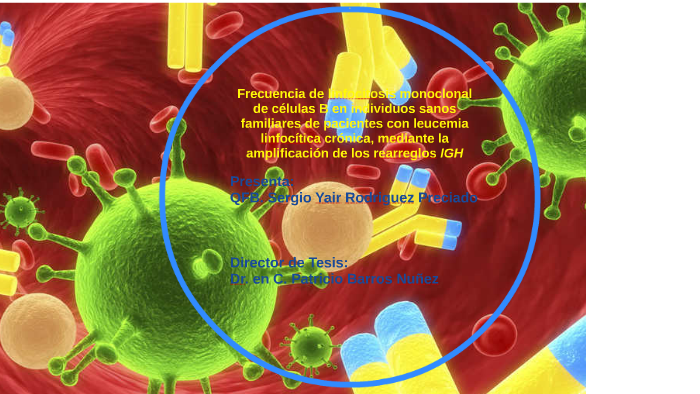 Frecuencia De Linfocitosis Monoclonal De Células B En Indivi By Sergio ...