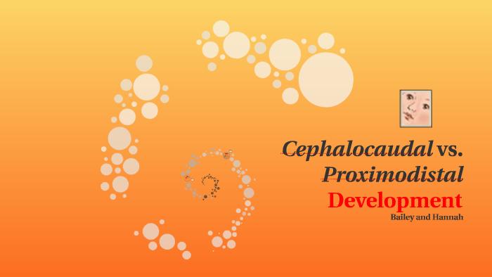 cephalocaudal development example