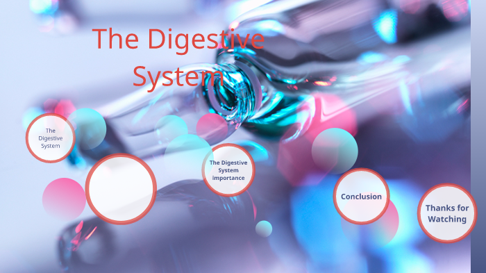 digestive system prezi by logan Abney on Prezi