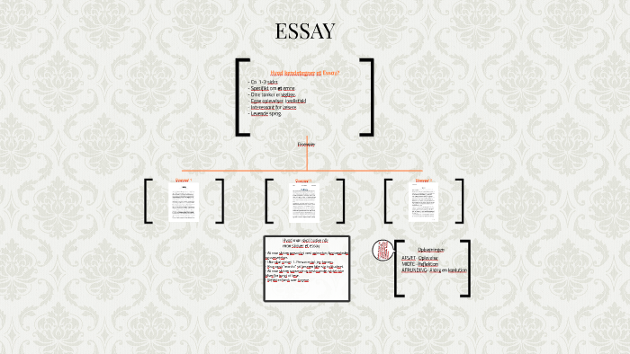 Hvad kendetegner essay 07 image