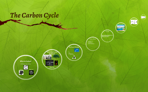The Carbon Cycle by Christina Spriggs on Prezi