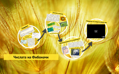 Числата на Фибоначи by