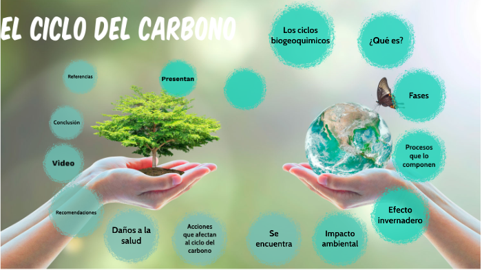 ciclo del carbono