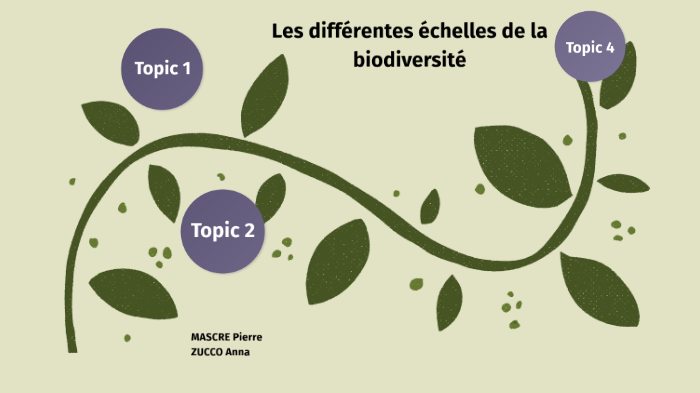 Les Différentes échelles De La Biodiversité By Anna Zucco On Prezi