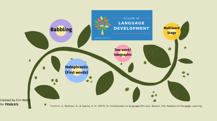 Phases of Language Development by Erin Welch on Prezi