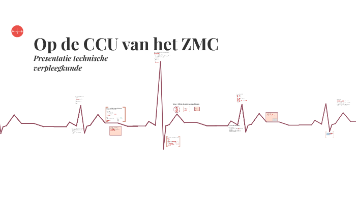 Casus van de CCU by Lian Koster