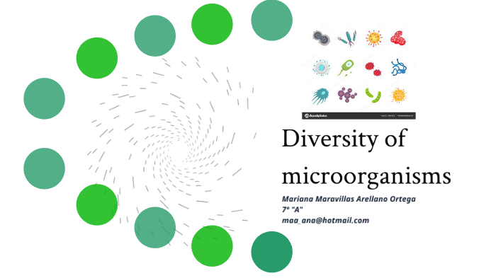 Diversity of microorganisms by Mariana Arellano on Prezi