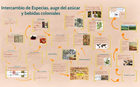 Intercambio de Especias, Auge Azúcar y Bebidas Coloniales by Ana Tamayo