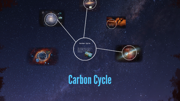 Carbon Cycle by Oscar Hernandez on Prezi
