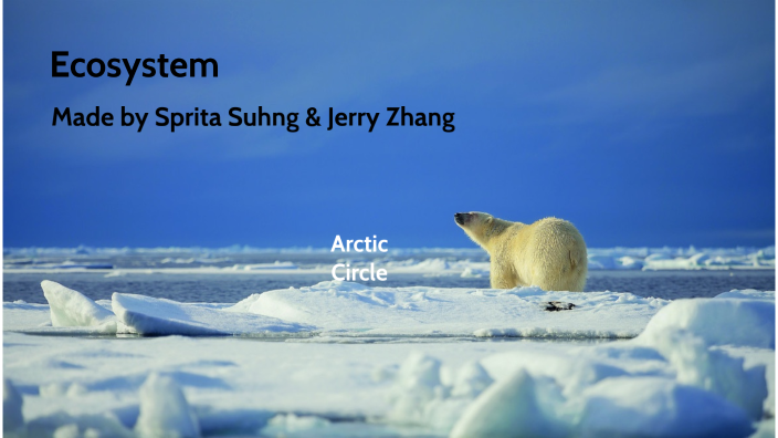Ecosystem - Arctic Circle by Sprita Suhng on Prezi