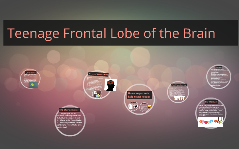 Teenage Frontal Lobe of the Brain by Lily Sherman on Prezi
