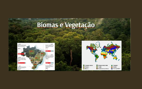 Biomas e Vegetação by Yasmin Oliveira Lima on Prezi