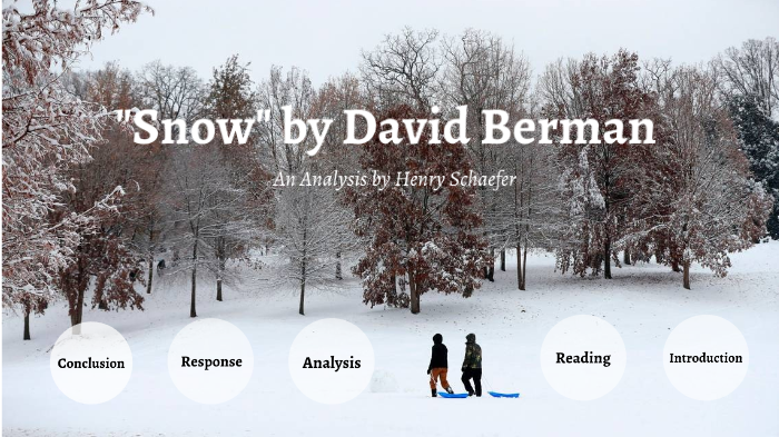 "Snow" by David Berman by Henry Schaefer