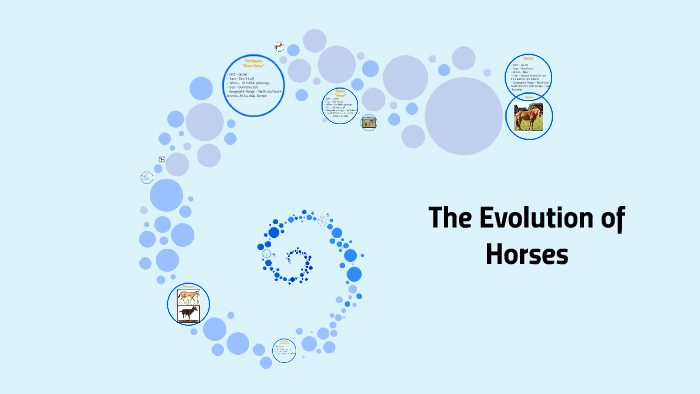 The Evolution of Horses by 5th Grade