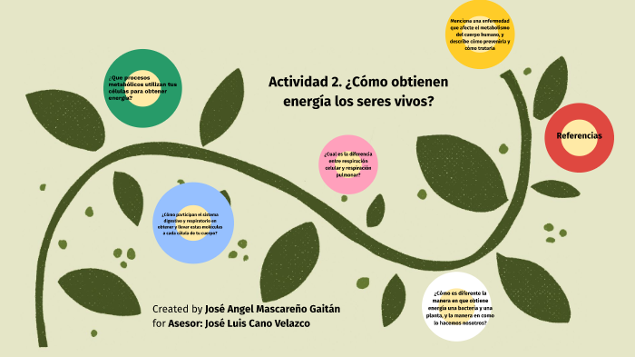 JoséÁngel-Actividad 2. ¿Cómo obtienen energía los seres vivos? by