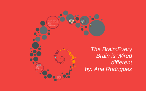 The Brain Every Brain Is Wired Differently By Ana Rodriguez On Prezi The Brain Every Brain Is Wired Differently By Ana Rodriguez On Prezi