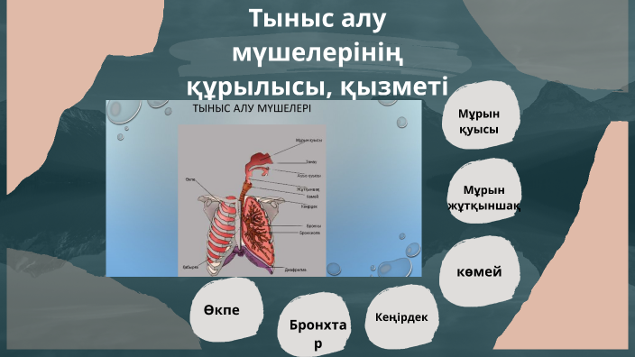 Қалыңдық пен күйеу порно Порно жопты жалағанды жақсы көреді