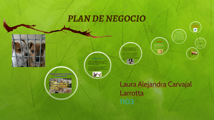 PLAN DE NEGOCIO by on Prezi