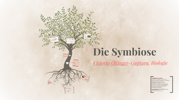 Die Symbiose by Victoria Guptara on Prezi