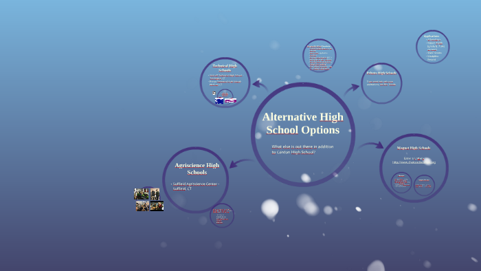 Alternative High School Options By Amy Brintle