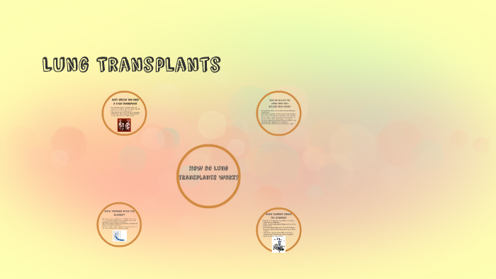 how-do-lung-transplants-work-by-ava-milne