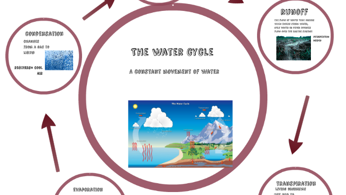 The water cycle by Rachel Lawson on Prezi