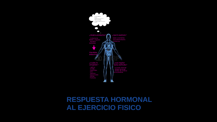 Respuesta Hormonal Al Ejercicio Fisico By Javier Delgado Román On Prezi