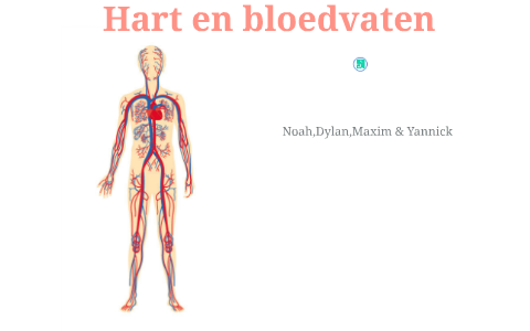 Hart en bloedvaten by Yannick Helsen on Prezi