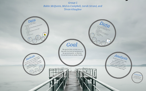 Mpa Interview Activity By Robin Mcqueen