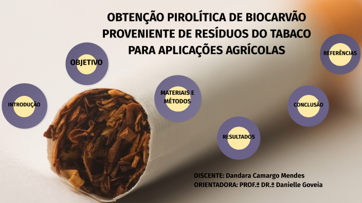 OBTENÇÃO PIROLÍTICA DE CARVÃO VEGETAL PROVENIENTE DE RESÍDUOS E ...