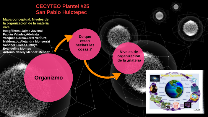 NIVELES DE LA ORGANIZACION DE LA MATERIA VIVA by jaime juvenal fabian  valadez on Prezi Next