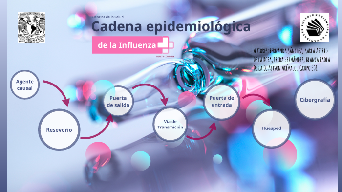 Cadena Epidemiologica De La Influenza Images