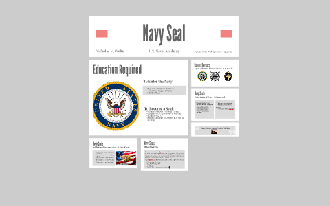 Navy Seal by Nicholas Wolfe