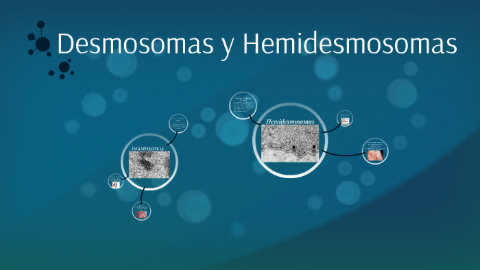 desmosomas vs hemidesmosomas