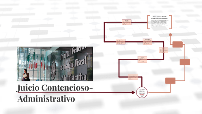 Juicio Contencioso-Administrativo by Damián Romero