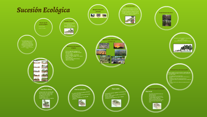 Sucesión Ecológica By Sabri Villalba On Prezi 0863