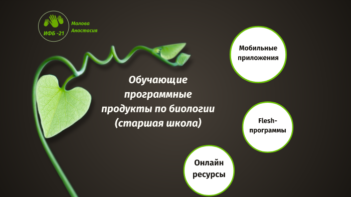 Об.программы by Малова Анастасия on Prezi