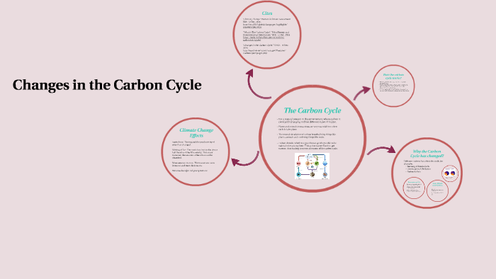 The Carbon Cycle by Ximena Zumaran on Prezi